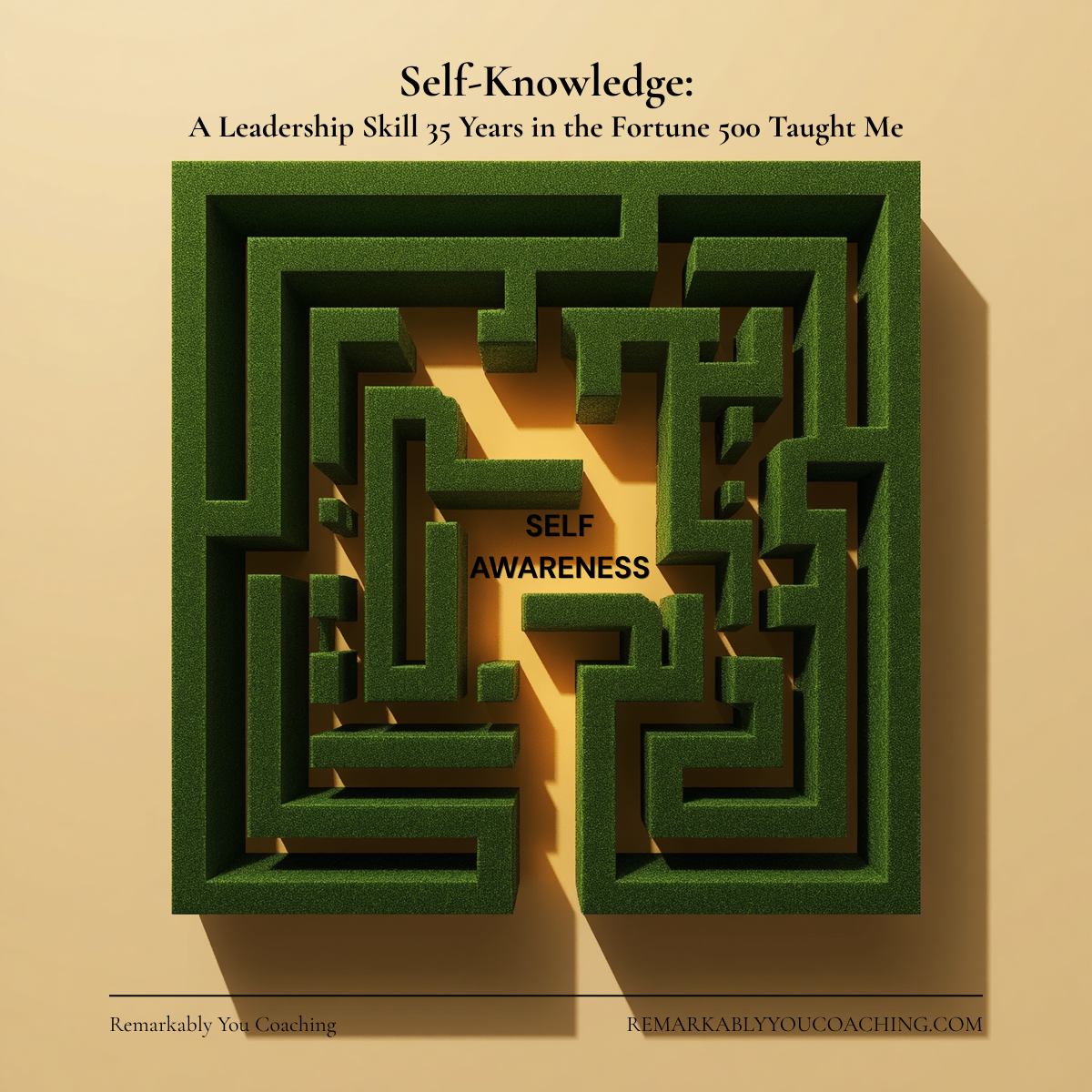 Maze with self-awareness at the center — self-knowledge: a leadership skill 35 years in the Fortune 500 taught me